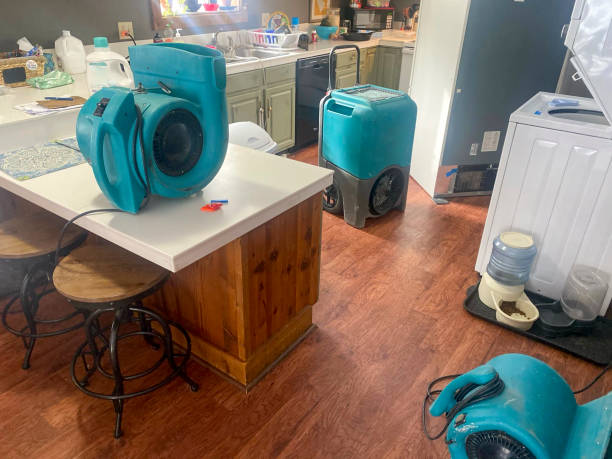 Best Water damage restoration cost  in Sidney, IL