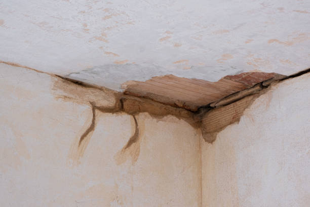 Best Emergency water damage restoration  in Sidney, IL