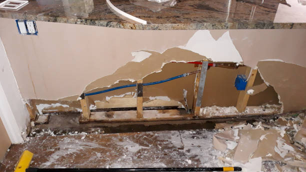 Best Water damage restoration near me  in Sidney, IL