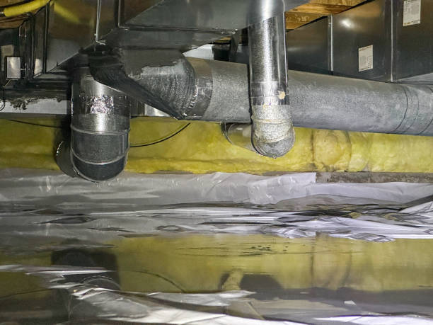 Best Water damage restoration insurance claims  in Sidney, IL