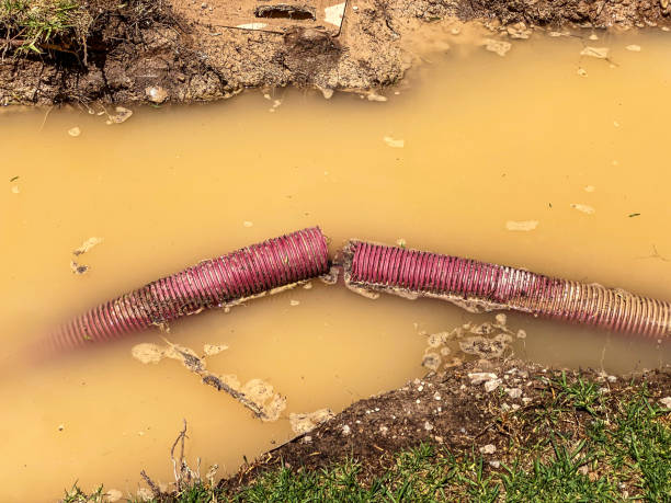 Best 24/7 water damage repair  in Sidney, IL